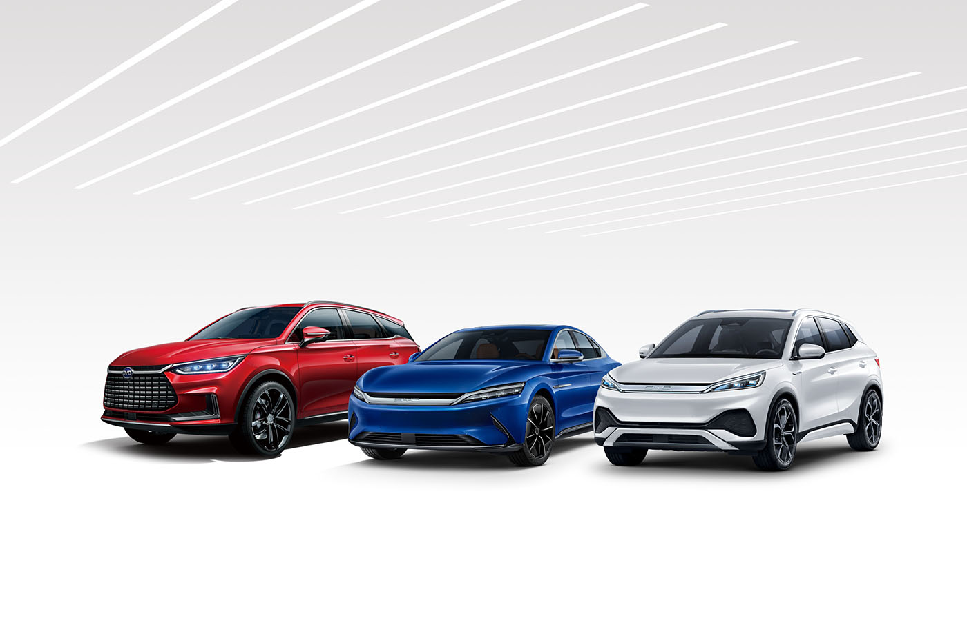 BYD Renting